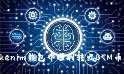 如何在Tokenim钱包中顺利转出BTM币：详细指南