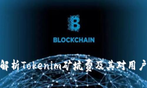 全面解析Tokenim矿坑费及其对用户影响