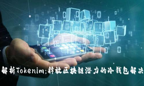 深入解析Tokenim：释放区块链潜力的冷钱包解决方案