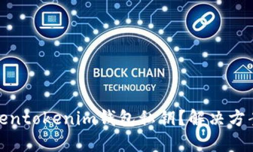 如何找回Tokentokenim钱包私钥？解决方案及预防措施