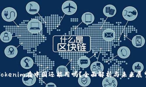 Tokenim在中国还能用吗？全面解析与未来展望