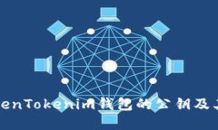 理解TokenTokenim钱包的公钥及其重要性