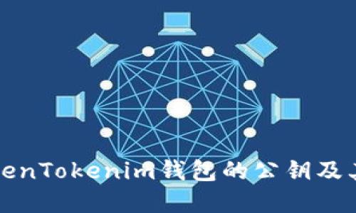 理解TokenTokenim钱包的公钥及其重要性