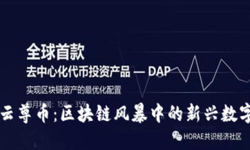 揭秘云尊币：区块链风暴中的新兴数字货币