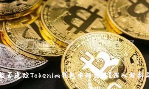 警方能否追踪Tokenim钱包中的交易？深入分析与解答