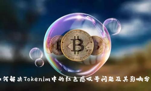 如何解决Tokenim中的红色感叹号问题及其影响分析