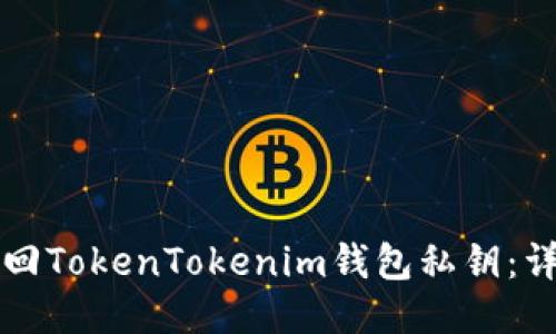 如何找回TokenTokenim钱包私钥：详细指南