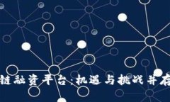 探索最新区块链融资平台：机遇与挑战并存的投