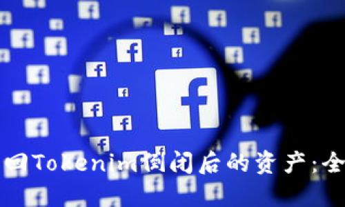 如何找回Tokenim倒闭后的资产：全面指南