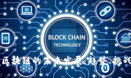 币码翁区块链的未来发展：趋势、挑战与机遇