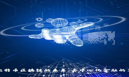 探索混知比特币区块链的未来：去中心化金融的革命与挑战