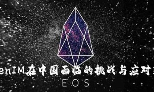 TokenIM在中国面临的挑战与应对策略