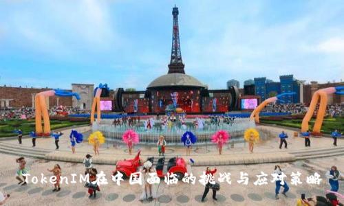 TokenIM在中国面临的挑战与应对策略