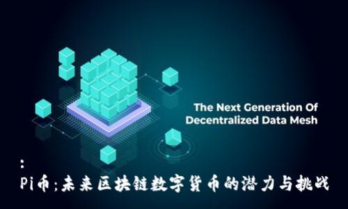 :
Pi币：未来区块链数字货币的潜力与挑战