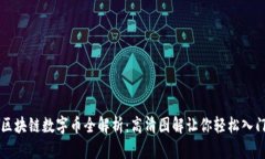 区块链数字币全解析：高清图解让你轻松入门