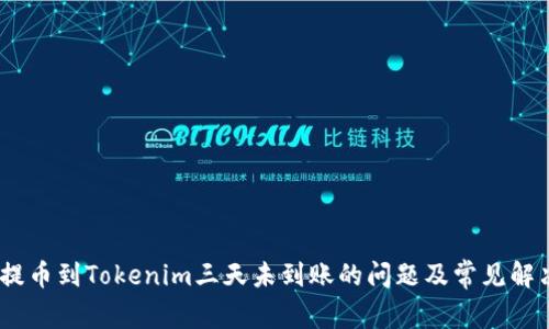 :解决提币到Tokenim三天未到账的问题及常见解决方案