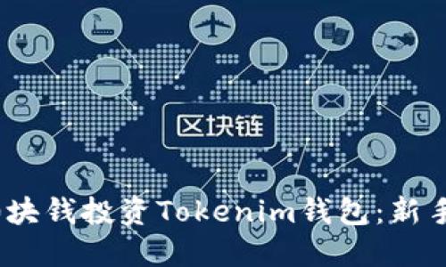如何用1000块钱投资Tokenim钱包：新手指南与策略
