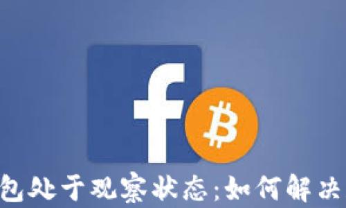 
Tokenim钱包处于观察状态：如何解决和使用体验