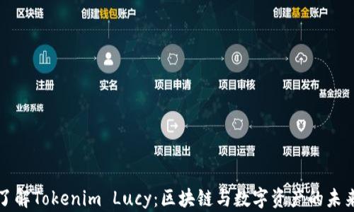 
深入了解Tokenim Lucy：区块链与数字资产的未来趋势