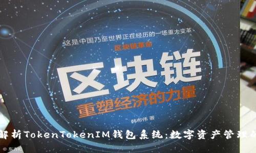 深度解析TokenTokenIM钱包系统：数字资产管理的未来