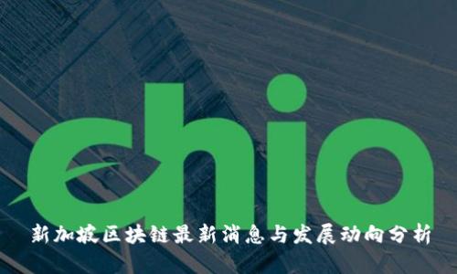 新加坡区块链最新消息与发展动向分析